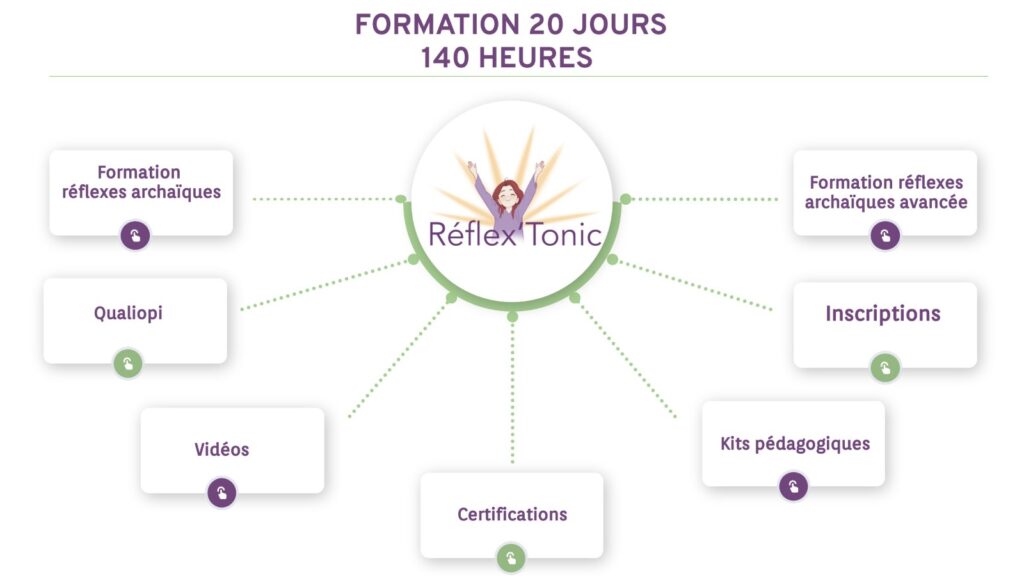 formation-kinesiologie